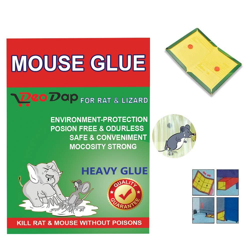 204 Green Mice Glue Traps (1pc) DeoDap